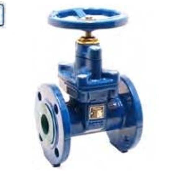 GATE VALVE PEGLER