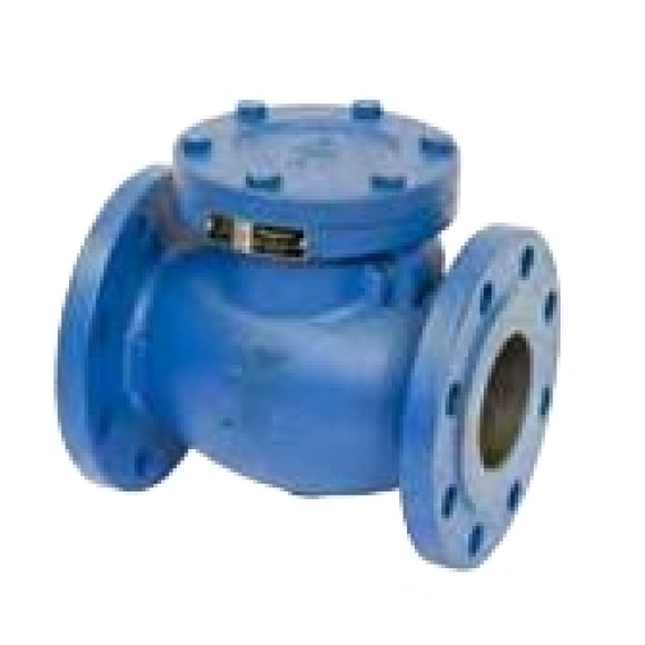 CHECK VALVE PEGLER